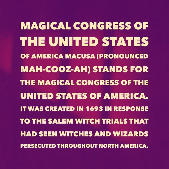 Fantastic Beasts XL T-shirt - Picture 6 of 7